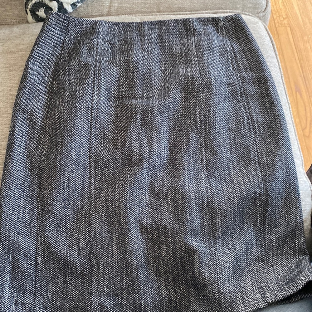 NWOT beautiful skirt with pleated back slit